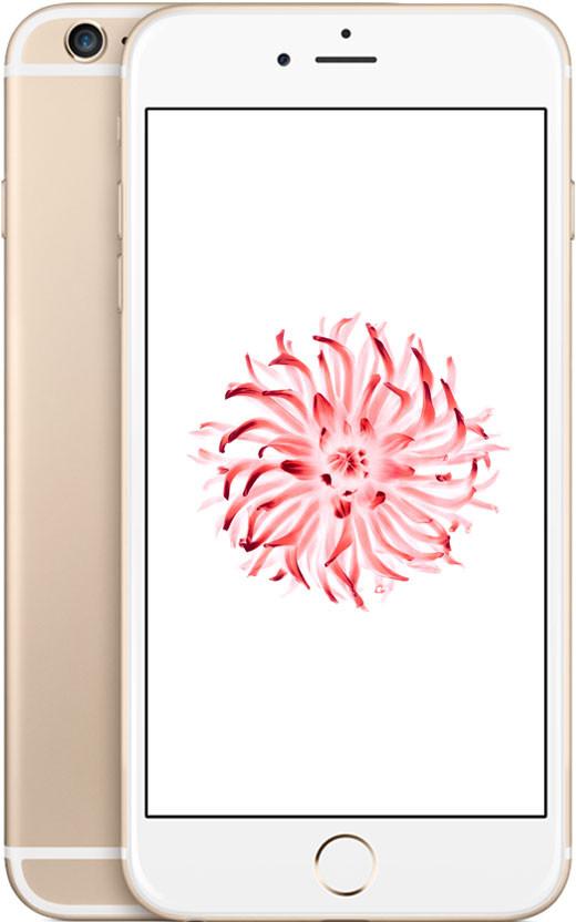 iPhone 6 Plus Gold Quốc Tế (Like new)