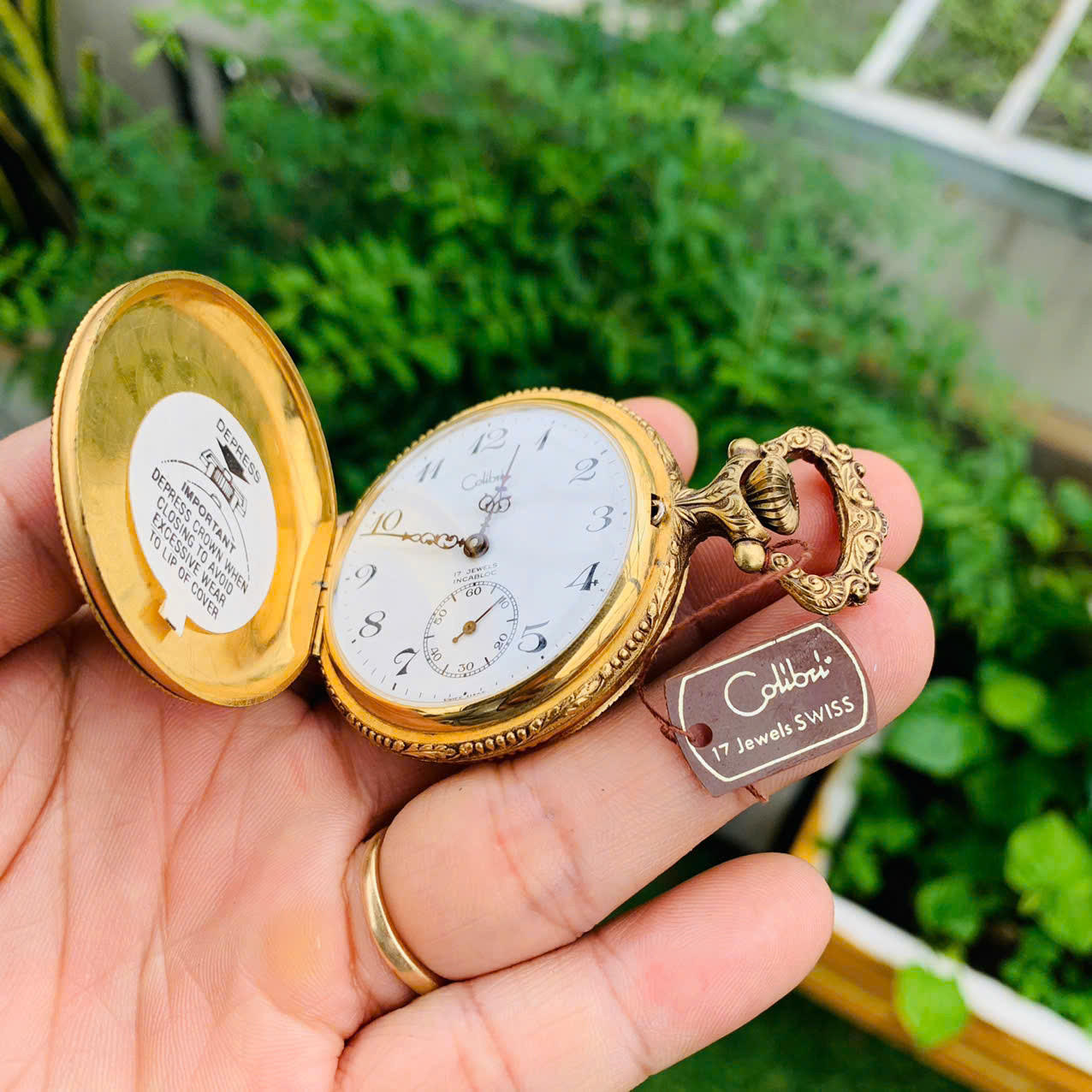 Đồng hồ quýt Colibri máy vàng, kèm tag
