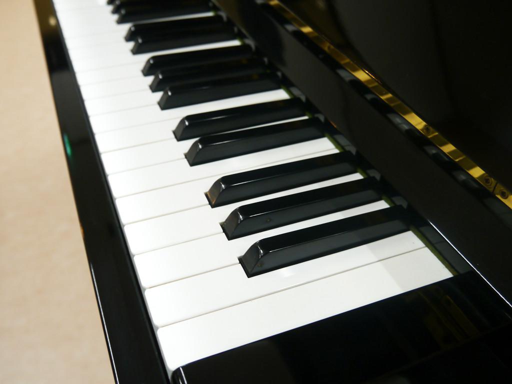 Yamaha U1E