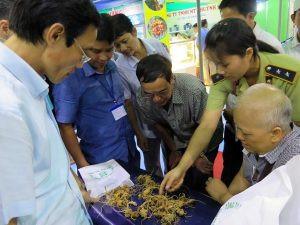 ​Quang Nam held festival honoring Ngoc Linh ginseng