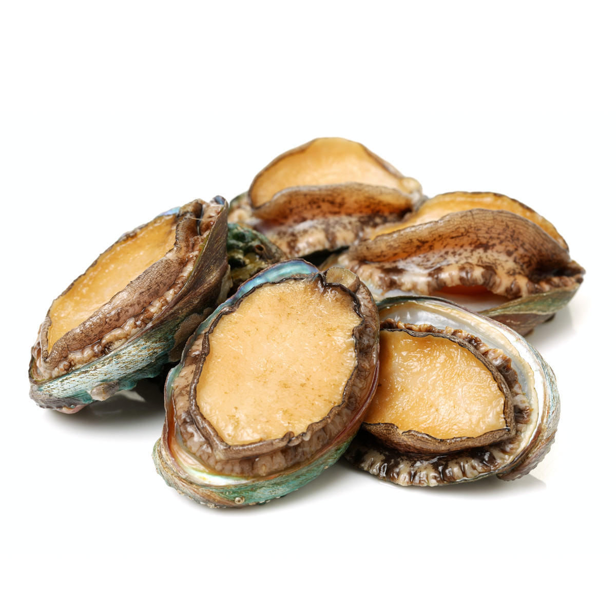 Bào Ngư Hàn Quốc
