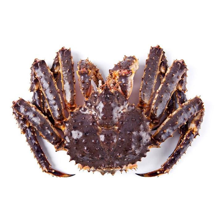 King Crab