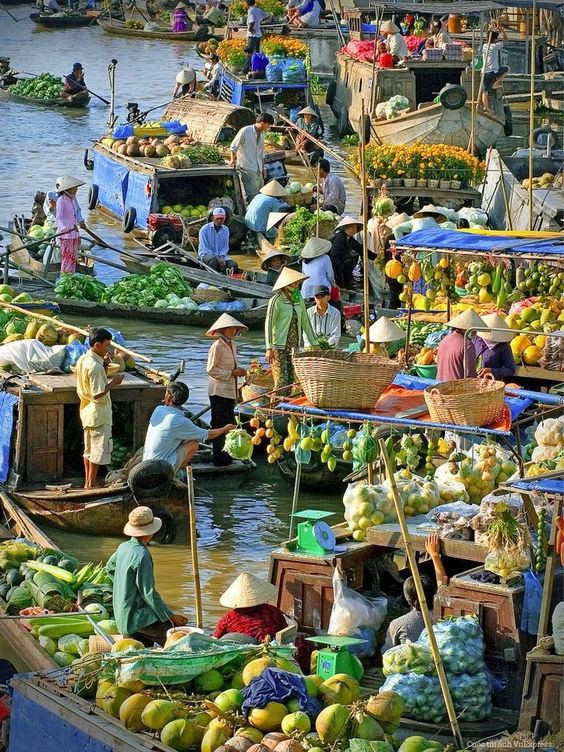 Vietnam life and cuisine 14 days