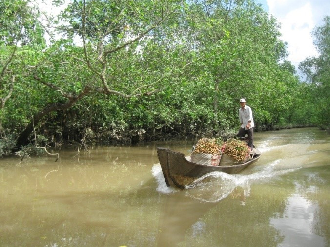 Southern Vietnam 5 days 4 nights