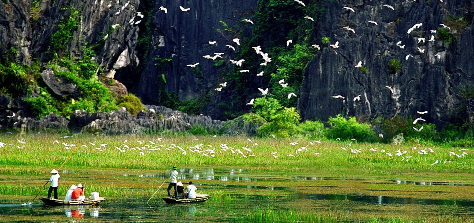 Hanoi - Ninhbinh - Halong - Sapa 8 days 7 nights