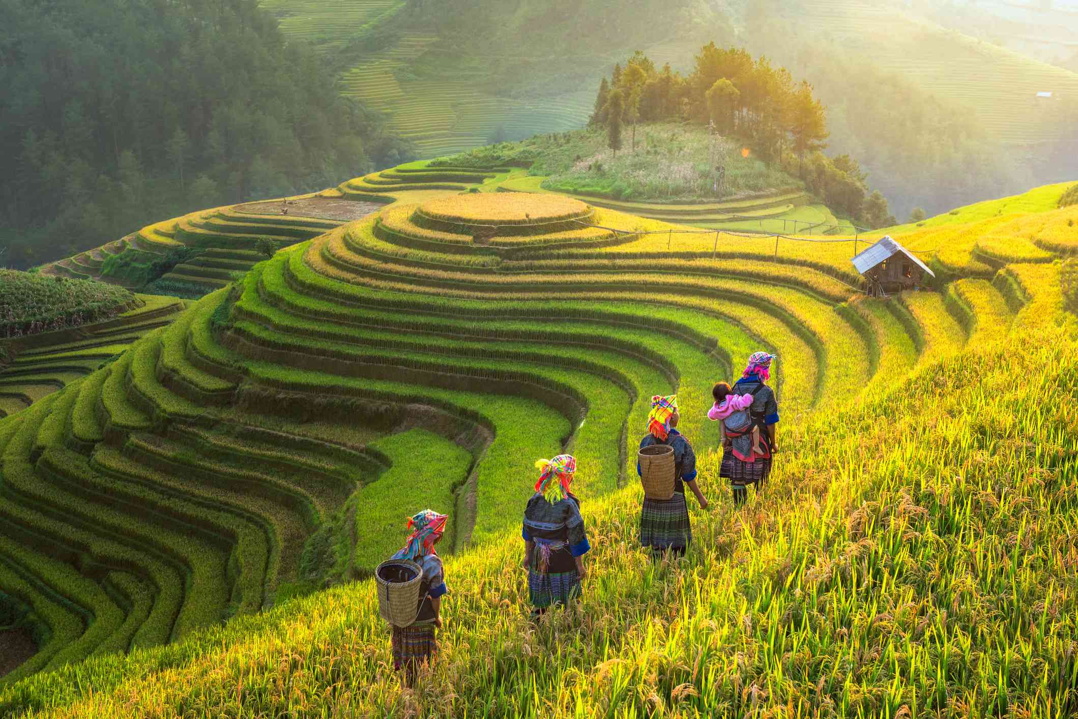 Hanoi – BacHa - Sapa – Ninhbinh - Halong 9 days 8 nights