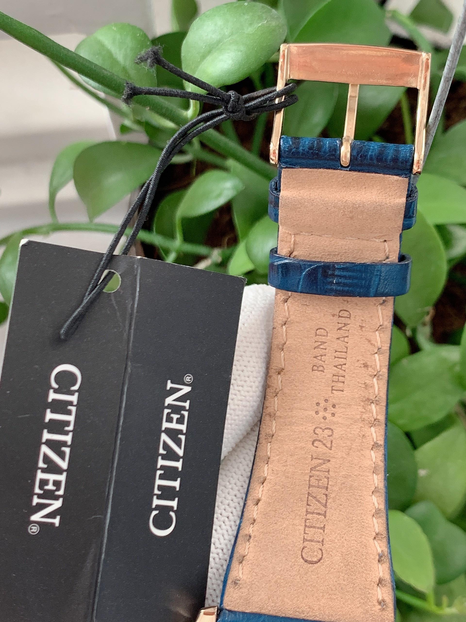 Đồng hồ đeo tay nam Citizen – Dual Time