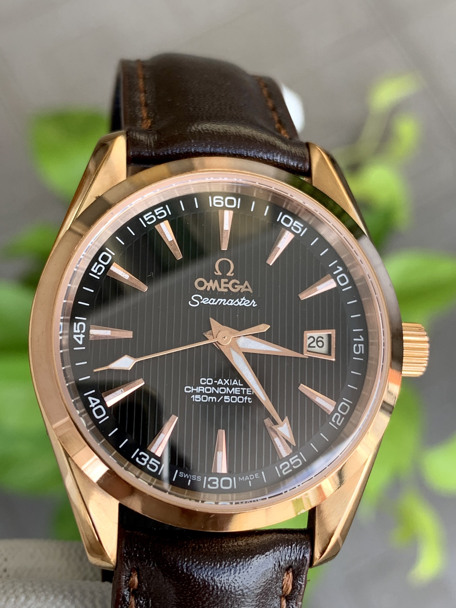 Đồng hồ đeo tay Omega Seamater Co-axial