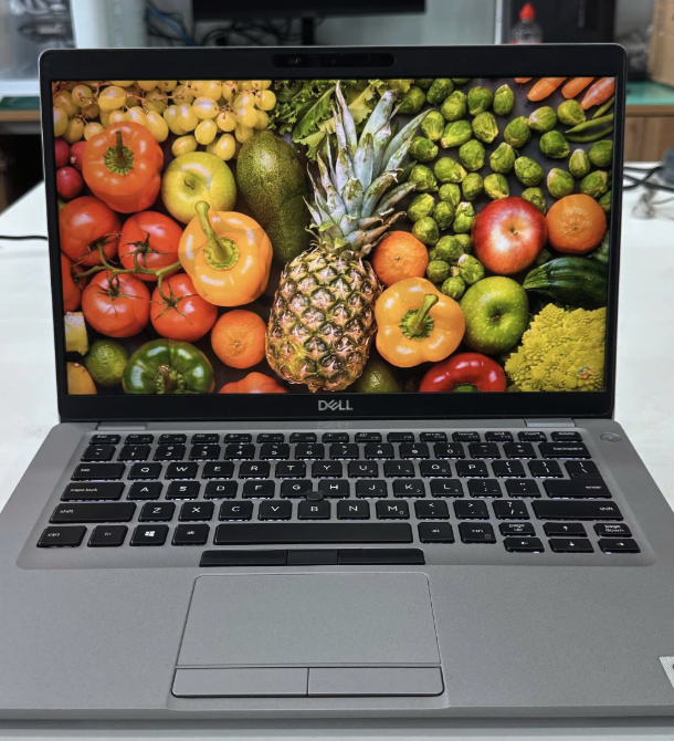 [Cũ] Laptop văn phòng Dell Latitude 5410 Core i5-10310U / RAM 8GB / SSD 256GB / 14 inch Full HD IPS