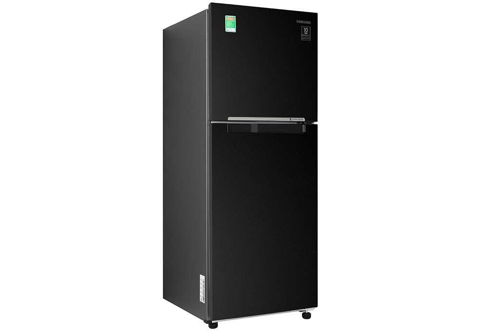 Tủ lạnh Samsung Inverter RT20HAR8DBU/SV - 208 lít
