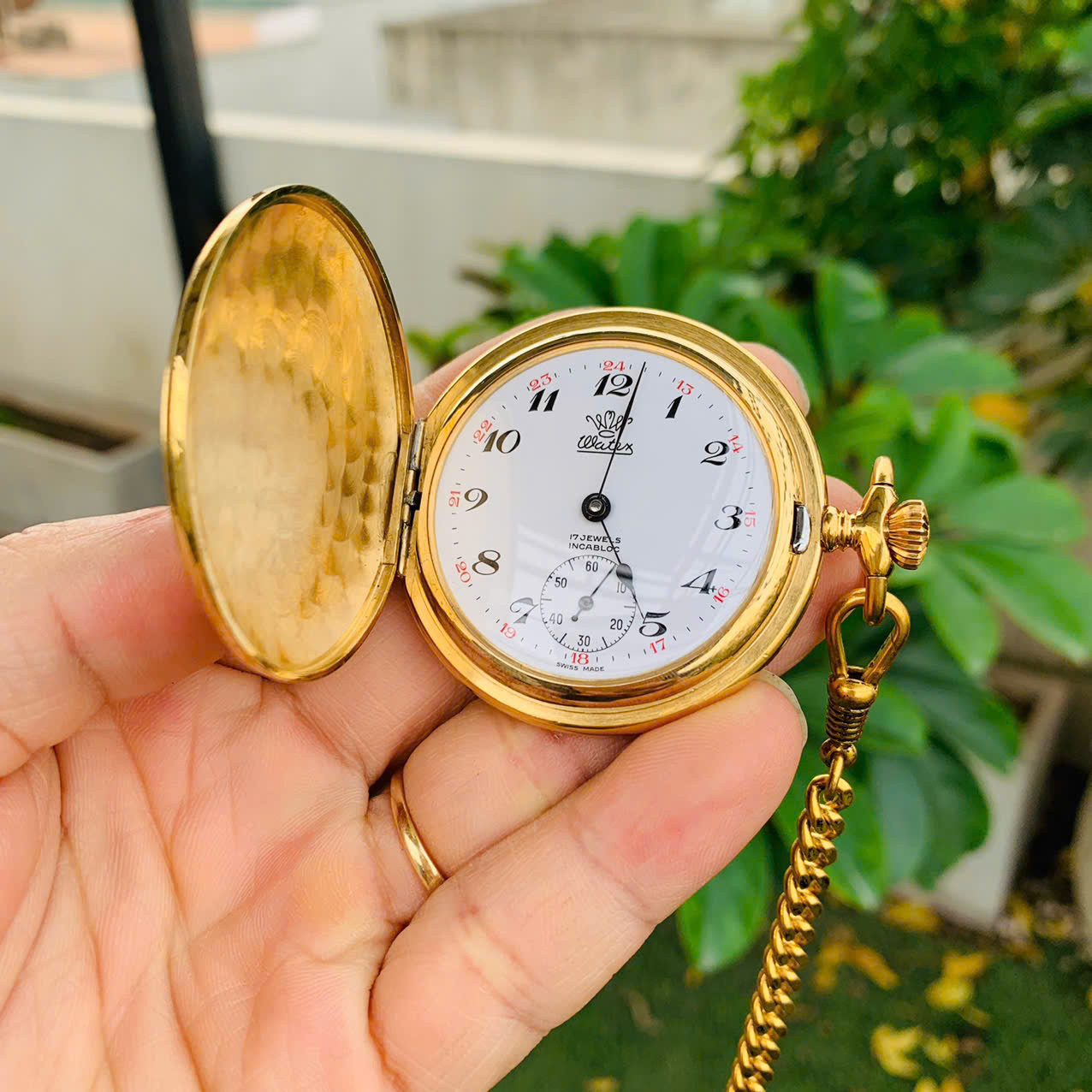 Đồng hồ quýt Watex Thụy Sĩ cót dài
