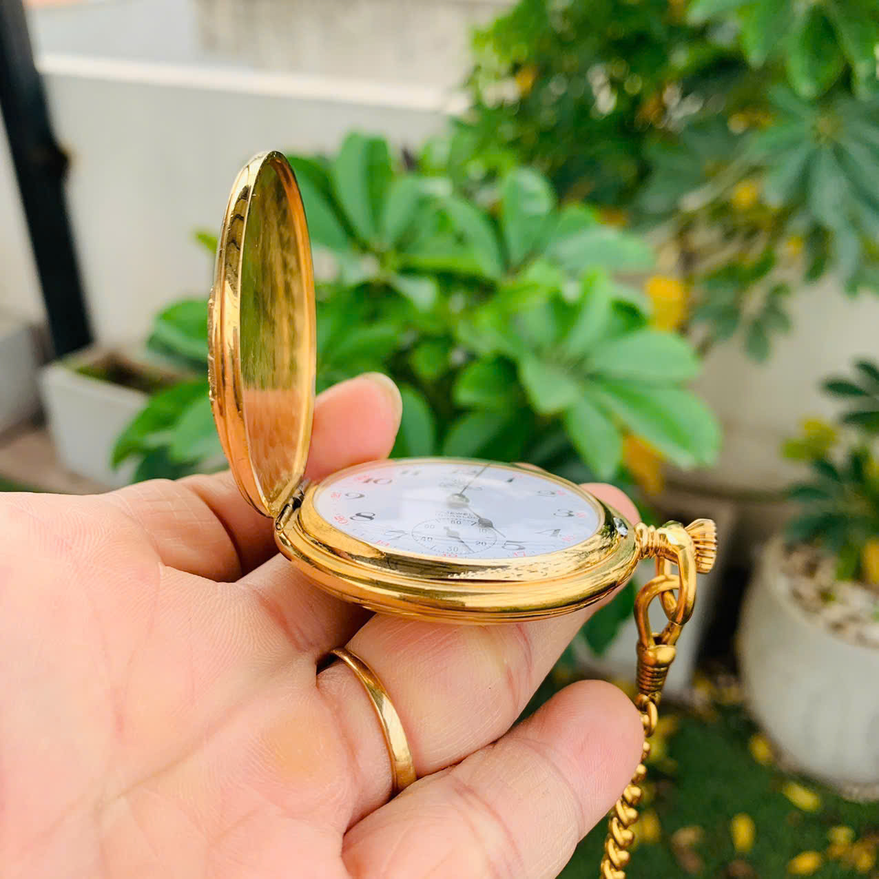 Đồng hồ quýt Watex Thụy Sĩ cót dài